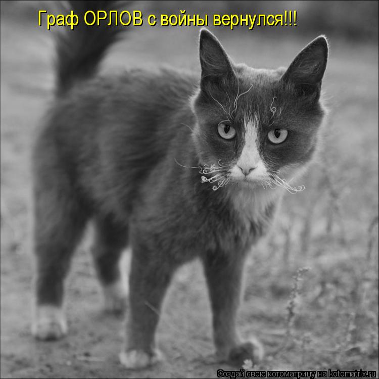 Граф ОРЛОВ с войны вернулся!!!... Котоматрица: Граф ОРЛОВ с войны вернулся!!!