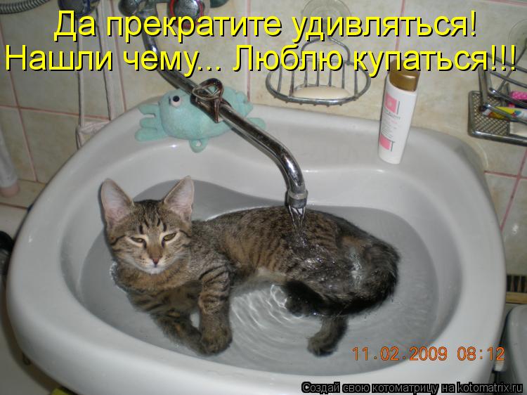 Да прекратите удивляться! Нашли чему... Люблю купаться!!!... Котоматрица: Да прекратите удивляться! Нашли чему... Люблю купаться!!!