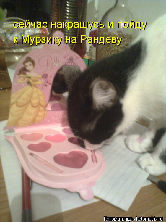 Котоматрица: сейчас накрашусь и пойду к Мурзику на Рандеву