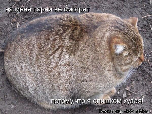 на меня парни не смотрят потому,что я слишком худая!... Котоматрица: на меня парни не смотрят потому,что я слишком худая!