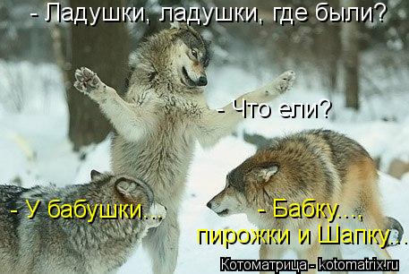 Котоматрица: - Бабку..., пирожки и Шапку... - Ладушки, ладушки, где были? - У бабушки... - Что ели?