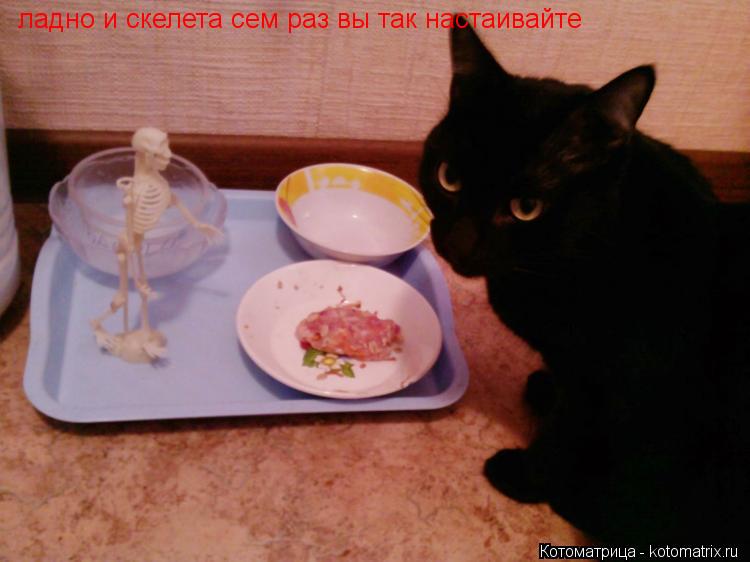 Эники Беники ели вареники ладно и скелета сем раз вы так настаивайте... Котоматрица: Эники Беники ели вареники ладно и скелета сем раз вы так настаивайте