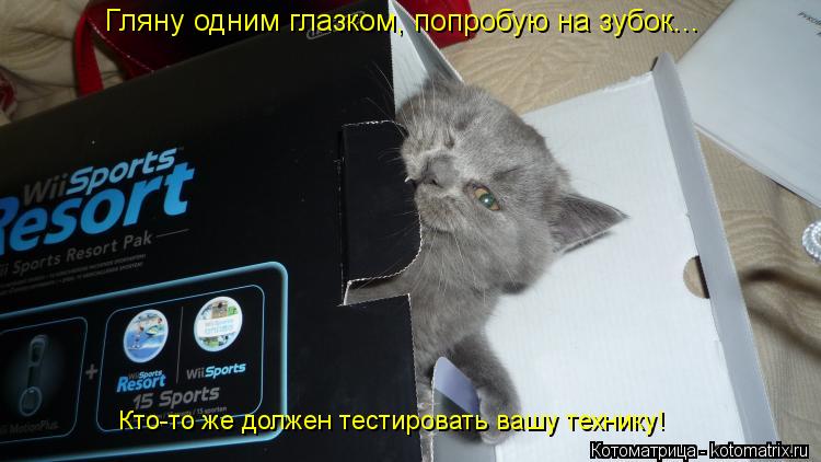 Гляну одним глазком, попробую на зубок... Кто-то же должен тестировать вашу технику!... Котоматрица: Гляну одним глазком, попробую на зубок... Кто-то же должен тестировать вашу технику!