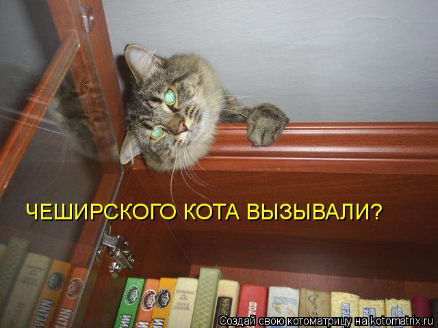 Котоматрица: ЧЕШИРСКОГО КОТА ВЫЗЫВАЛИ?