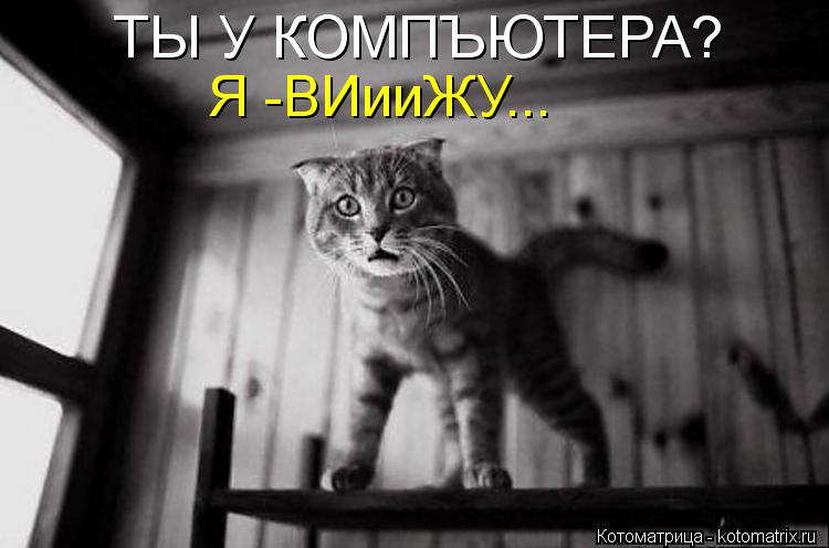 Котоматрица: Я -ВИииЖУ... ТЫ У КОМПЪЮТЕРА?