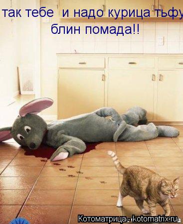 так тебе и надо курица тьфу блин помада!!... Котоматрица: так тебе и надо курица тьфу блин помада!!