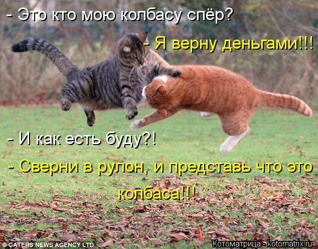 Котоматрица: - Это кто мою колбасу спёр? - Я верну деньгами!!! - И как есть буду?! - Сверни в рулон, и представь что это - колбаса!!!