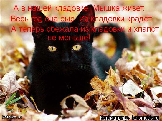 А в нашей кладовке Мышка живет. Весь год она сыр Из кладовки крадет. А теперь сбежала из кладовки ... Котоматрица: А в нашей кладовке Мышка живет. Весь год она сыр Из кладовки крадет. А теперь сбежала из кладовки и хлапот не меньше!