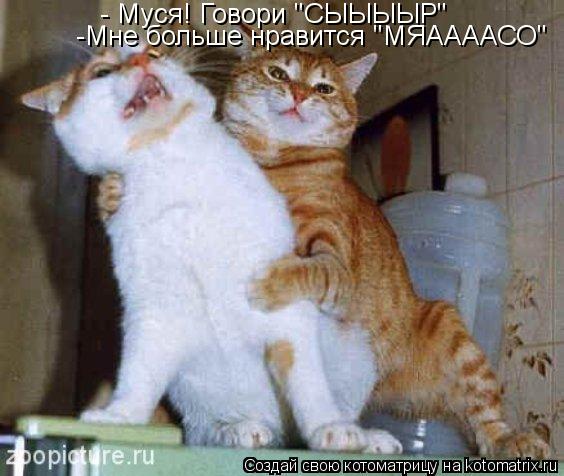 - Муся! Говори "СЫЫЫЫР" -Мне больше нравится "МЯААААСО"... Котоматрица: - Муся! Говори "СЫЫЫЫР" -Мне больше нравится "МЯААААСО"