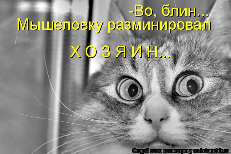 -Во, блин... Мышеловку разминировал Х О З Я И Н...... Котоматрица: -Во, блин... Мышеловку разминировал Х О З Я И Н...