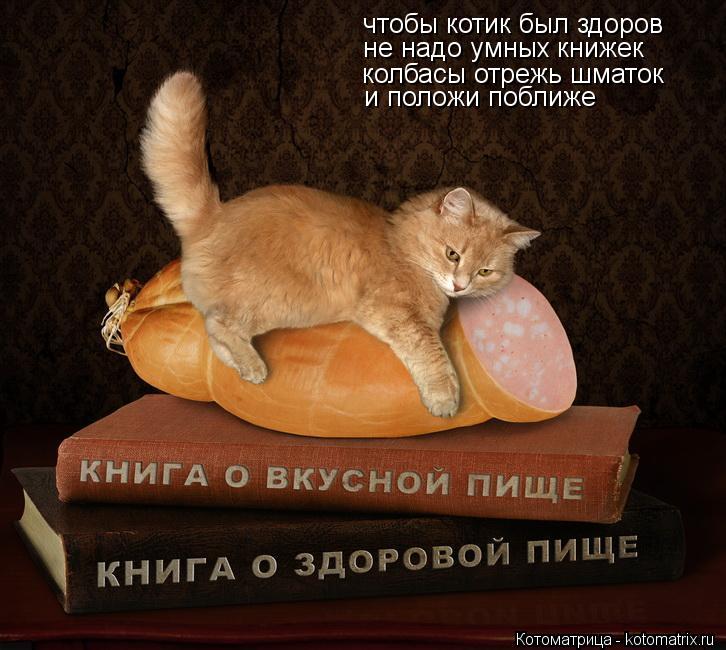 чтобы котик был здоров не надо умных книжек колбасы отрежь шматок и положи поближе... Котоматрица: чтобы котик был здоров не надо умных книжек колбасы отрежь шматок и положи поближе