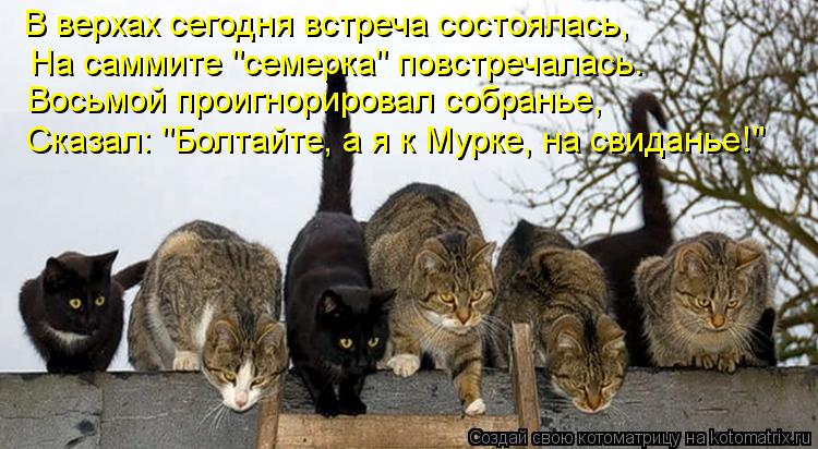 Котоматрица: В верхах сегодня встреча состоялась, На саммите "семерка" повстречалась. Восьмой проигнорировал собранье, Сказал: "Болтайте, а я к Мурке, на 