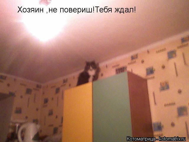 Котоматрица: Хозяин ,не повериш!Тебя ждал!