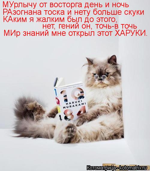 МУрлычу от восторга день и ночь РАзогнана тоска и нету больше скуки КАким я жалким был до этого, нет,... Котоматрица: МУрлычу от восторга день и ночь РАзогнана тоска и нету больше скуки КАким я жалким был до этого, нет, гений он, точь-в точь МИр знаний мне отк