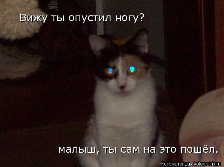 Котоматрица: Вижу ты опустил ногу? малыш, ты сам на это пошёл.