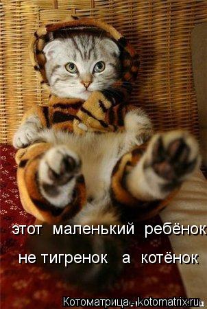 Котоматрица: этот  маленький  ребёнок    не тигренок   а  котёнок