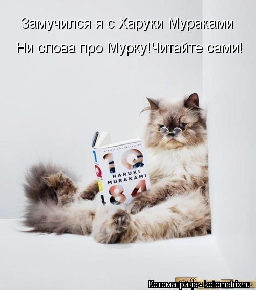 Замучился я с Харуки Мураками Ни слова про Мурку!Читайте сами!... Котоматрица: Замучился я с Харуки Мураками Ни слова про Мурку!Читайте сами!