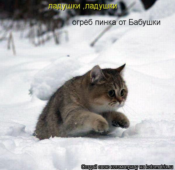 Котоматрица: ладушки ,ладушки огрёб пинка от Бабушки