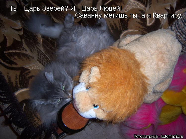 Ты - Царь Зверей? Я - Царь Людей! Саванну метишь ты, а я Квартиру.... Котоматрица: Ты - Царь Зверей? Я - Царь Людей! Саванну метишь ты, а я Квартиру.