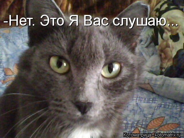 -Нет. Это Я Вас слушаю...... Котоматрица: -Нет. Это Я Вас слушаю...