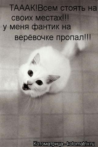 Котоматрица: ТАААК!Всем стоять на своих местах!!!  своих местах!!! у меня фантик на верёвочке пропал!!!