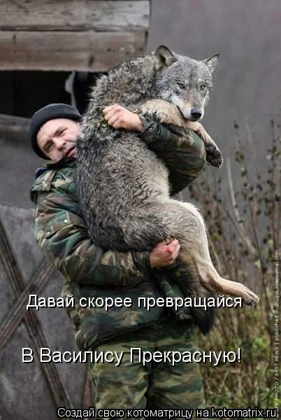 Котоматрица: Давай скорее превращайся В Василису Прекрасную!