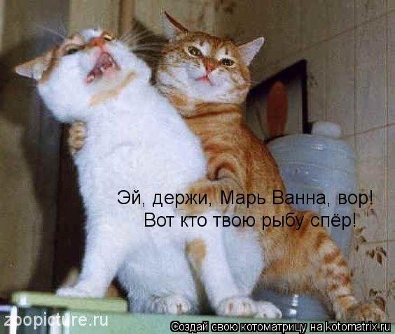 Эй, держи, Марь Ванна, вор! Вот кто твою рыбу спёр!... Котоматрица: Эй, держи, Марь Ванна, вор! Вот кто твою рыбу спёр!