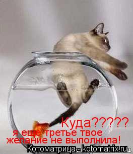 Котоматрица: Куда????? я еще третье твое желание не выполнила!