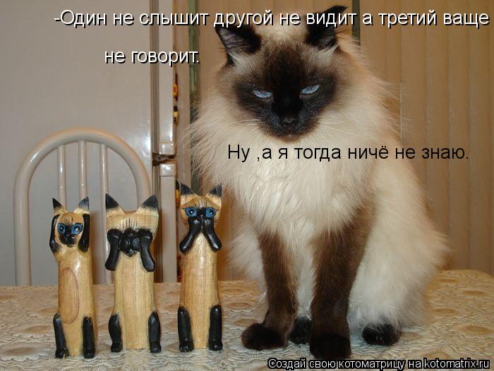 не говорит. -Один не слышит другой не видит а третий ваще Ну ,а я тогда ничё не знаю.... Котоматрица: не говорит. -Один не слышит другой не видит а третий ваще Ну ,а я тогда ничё не знаю.