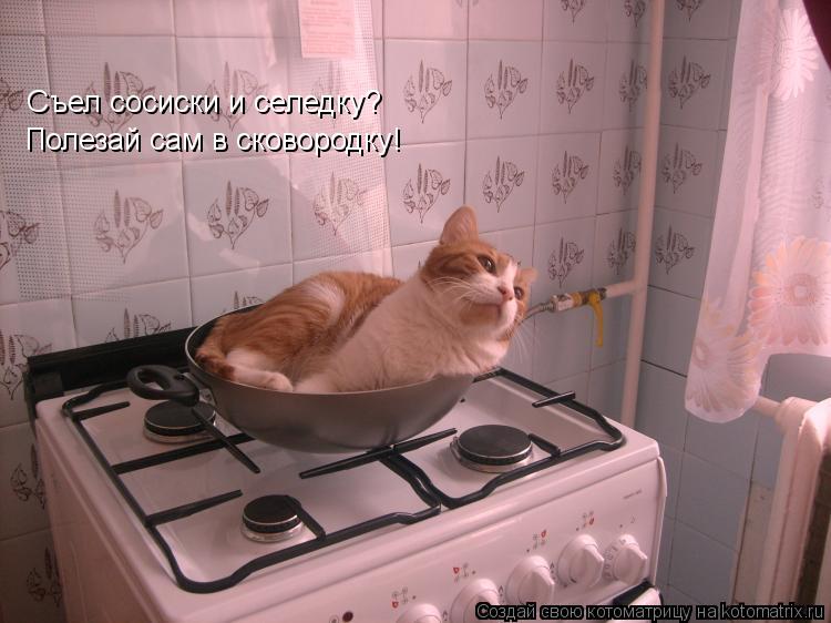 Съел сосиски и селедку? Полезай сам в сковородку!... Котоматрица: Съел сосиски и селедку? Полезай сам в сковородку!