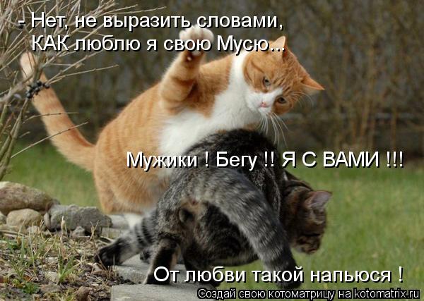 Котоматрица: - Нет, не выразить словами, КАК люблю я свою Мусю... Мужики ! Бегу !! Я С ВАМИ !!! От любви такой напьюся !