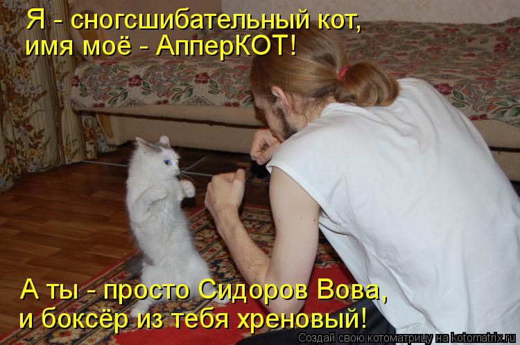 Я - сногсшибательный кот, имя моё - АпперКОТ! А ты - просто Сидоров Вова, и боксёр из тебя хреновый!... Котоматрица: Я - сногсшибательный кот, имя моё - АпперКОТ! А ты - просто Сидоров Вова, и боксёр из тебя хреновый!