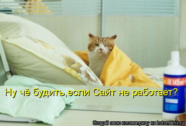 Ну чё будить,если Сайт не работает?... Котоматрица: Ну чё будить,если Сайт не работает?