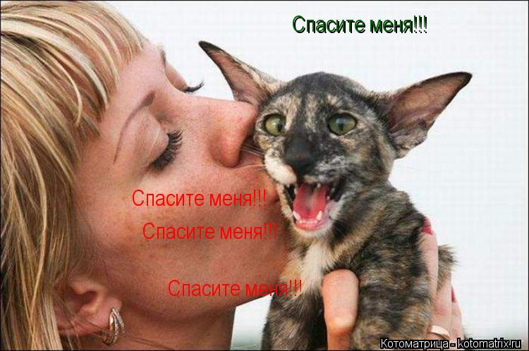 Спасите меня!!! Спасите меня!!! Спасите меня!!! Спасите меня!!!... Котоматрица: Спасите меня!!! Спасите меня!!! Спасите меня!!! Спасите меня!!!