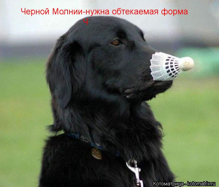 Ч Черной Молнии-нужна обтекаемая форма... Котоматрица: Ч Черной Молнии-нужна обтекаемая форма
