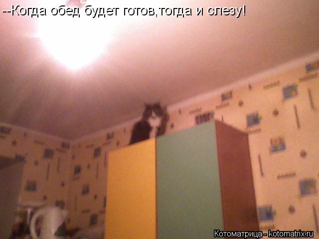 --Когда обед будет готов,тогда и слезу!... Котоматрица: --Когда обед будет готов,тогда и слезу!