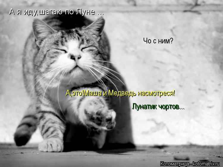 Чо с ним? А,это!Маша и Медведь насмотреся! Лунатик чортов... А я иду,шагаю по Луне ...... Котоматрица: Чо с ним? А,это!Маша и Медведь насмотреся! Лунатик чортов... А я иду,шагаю по Луне ...