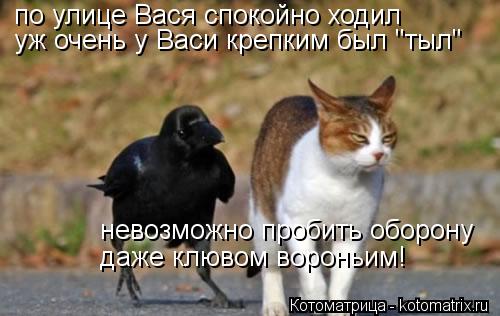 Котоматрица: по улице Вася спокойно ходил уж очень у Васи крепким был "тыл" невозможно пробить оборону даже клювом вороньим!
