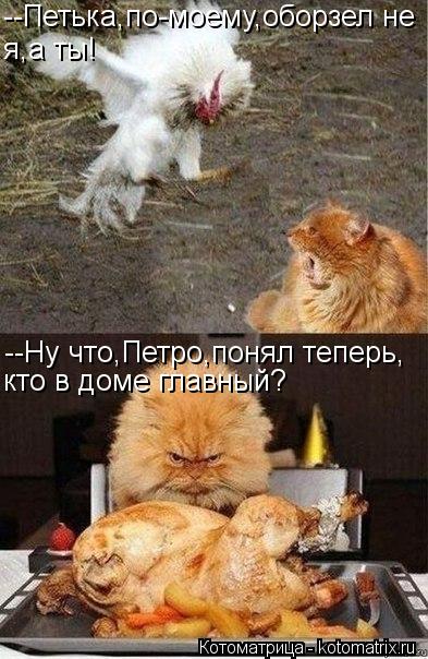 --Петька,по-моему,оборзел не я,а ты! --Ну что,Петро,понял теперь, кто в доме главный?... Котоматрица: --Петька,по-моему,оборзел не я,а ты! --Ну что,Петро,понял теперь, кто в доме главный?