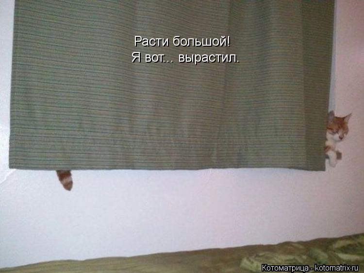 Расти большой! Я вот... вырастил.... Котоматрица: Расти большой! Я вот... вырастил.