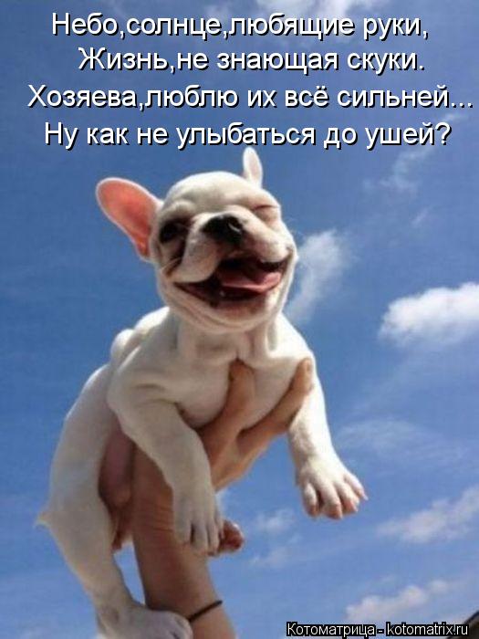 Небо,солнце,любящие руки, Жизнь,не знающая скуки. Хозяева,люблю их всё сильней... Ну как не улыбаться... Котоматрица: Небо,солнце,любящие руки, Жизнь,не знающая скуки. Хозяева,люблю их всё сильней... Ну как не улыбаться до ушей?