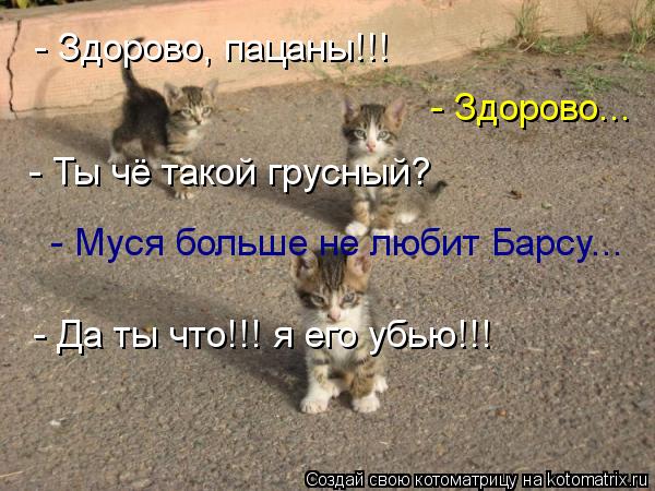 - Здорово, пацаны!!! - Здорово... - Ты чё такой грусный? - Муся больше не любит Барсу... - Да ты что!... Котоматрица: - Здорово, пацаны!!! - Здорово... - Ты чё такой грусный? - Муся больше не любит Барсу... - Да ты что!!! я его убью!!!