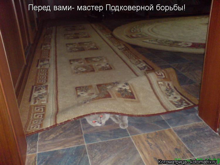 Котоматрица: Перед вами- мастер Подковерной борьбы!