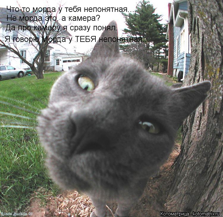 Что-то морда у тебя непонятная... Не морда это, а камера? Да про камеру я сразу понял. Я говорю Морда... Котоматрица: Что-то морда у тебя непонятная... Не морда это, а камера? Да про камеру я сразу понял. Я говорю Морда у ТЕБЯ непонятная...