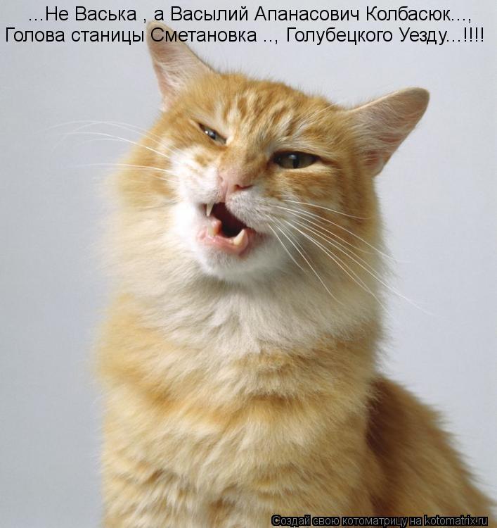 Котоматрица: ...Не Васька , а Васылий Апанасович Колбасюк...,   Голова станицы Сметановка .., Голубецкого Уезду...!!!!