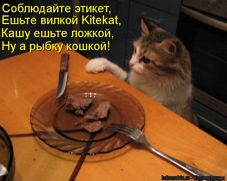 Соблюдайте этикет, Ешьте вилкой Kitekat, Кашу ешьте ложкой, Ну а рыбку кошкой!... Котоматрица: Соблюдайте этикет, Ешьте вилкой Kitekat, Кашу ешьте ложкой, Ну а рыбку кошкой!