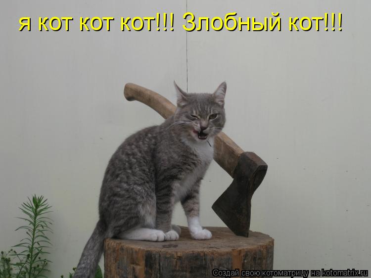 я кот кот кот!!! Злобный кот!!!... Котоматрица: я кот кот кот!!! Злобный кот!!!