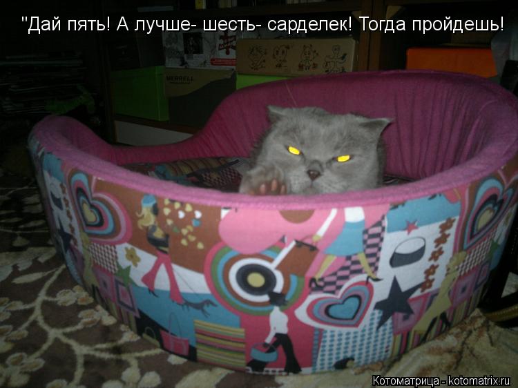 "Дай пять! А лучше- шесть- сарделек! Тогда пройдешь!... Котоматрица: "Дай пять! А лучше- шесть- сарделек! Тогда пройдешь!