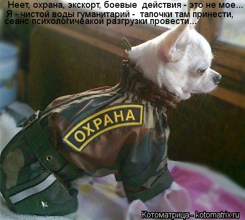 Неет, охрана, экскорт, боевые действия - это не мое... Я - чистой воды гуманитарий - тапочки там пр... Котоматрица: Неет, охрана, экскорт, боевые действия - это не мое... Я - чистой воды гуманитарий - тапочки там принести, сеанс психологичеакой разгрузки про