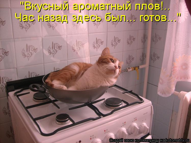 "Вкусный ароматный плов!.. Час назад здесь был... готов..."... Котоматрица: "Вкусный ароматный плов!.. Час назад здесь был... готов..."